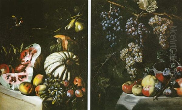 Nature Morte Aux Figues, Pommes Et Raisins Oil Painting by Pietro Paolini