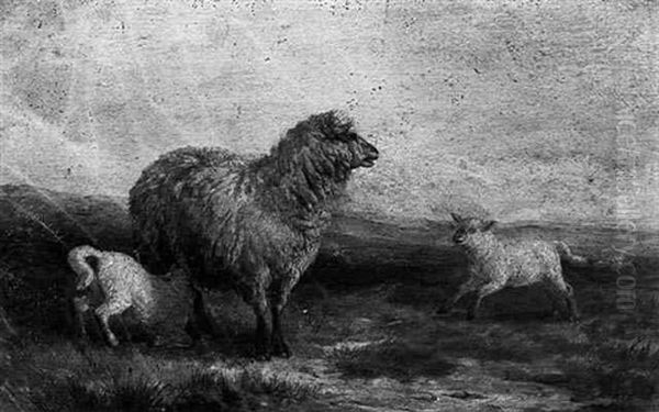 A Sheep With Lambs In A Landscape Oil Painting by Henry Park