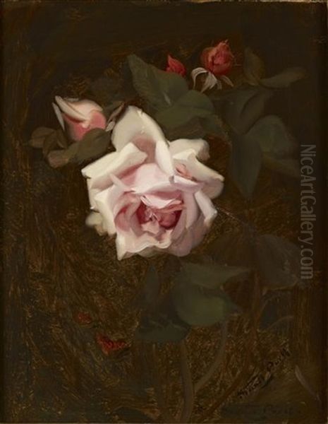 Pink Rose Oil Painting by Stuart James Park