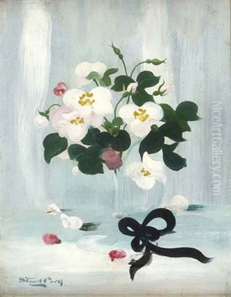 A Still Life Of White And Pink Roses Oil Painting by Stuart James Park