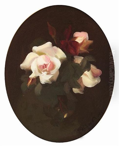 Pink Roses Oil Painting by Stuart James Park