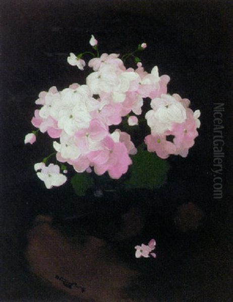 Still Life With Geraniums Oil Painting by Stuart James Park