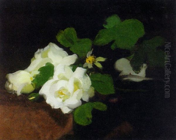 Still Life With White Roses Oil Painting by Stuart James Park