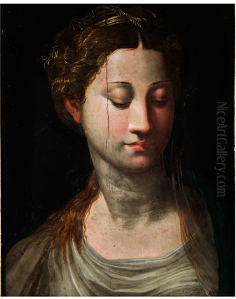 Bildnis Einer Jungen Frau Oil Painting by Girolamo Francesco Maria Mazzola (Parmigianino)