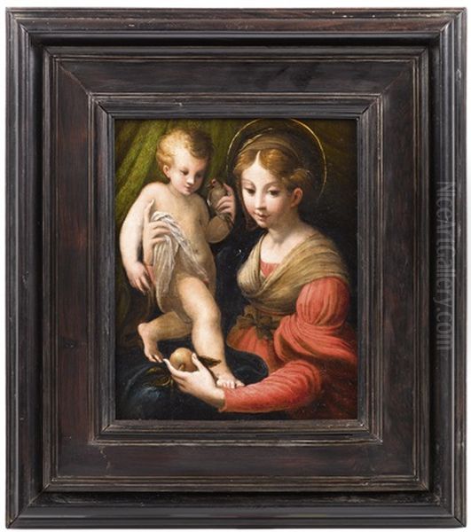 Madonna Della Mela Oil Painting by Girolamo Francesco Maria Mazzola (Parmigianino)