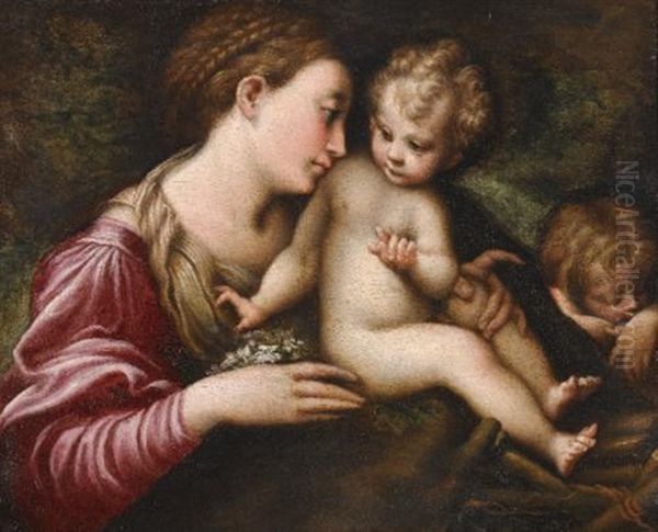 The Madonna And Child With St. John The Baptist Sleeping Oil Painting by Girolamo Francesco Maria Mazzola (Parmigianino)