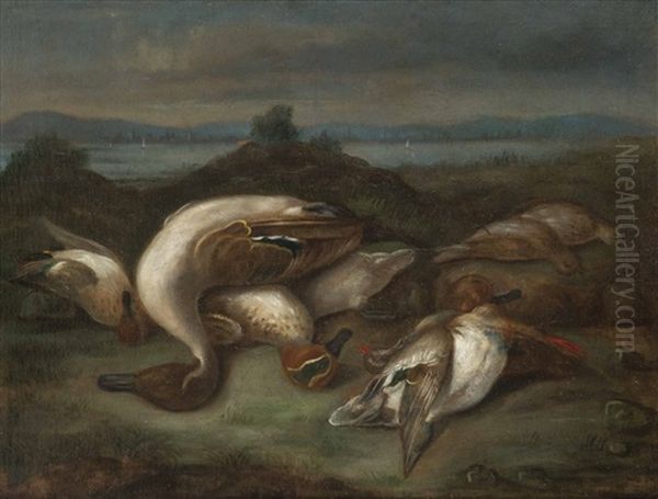 Bodegon De Aves Acuaticas Oil Painting by Miguel Parra Y Soler