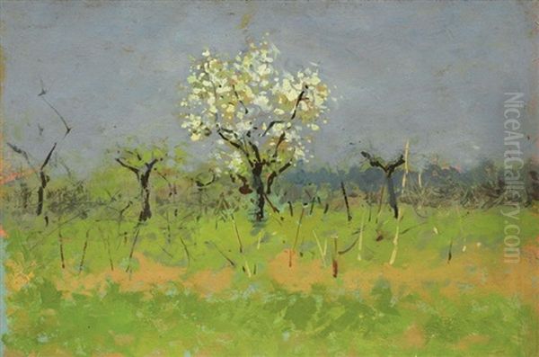Alberi In Fiore Oil Painting by Carlo Passigli