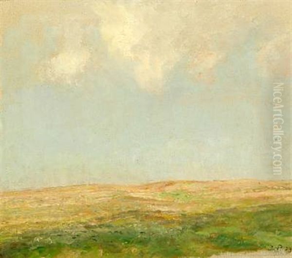 A Field With Clouds Above Oil Painting by Julius Paulsen