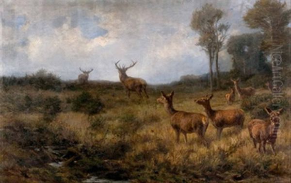 Der Rivale Oil Painting by Franz Xaver von Pausinger