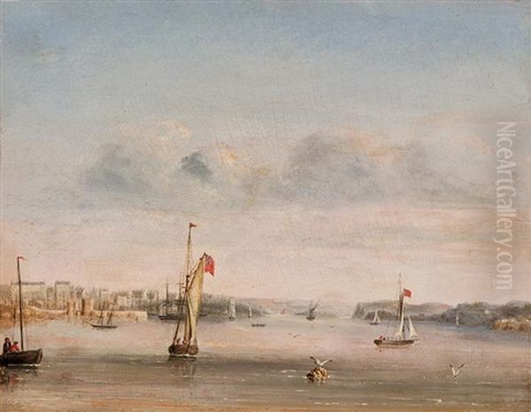 No. 6. Port Jackson, Nsw, View Up The Harbour From Garden Island Oil Painting by George Edwards Peacock