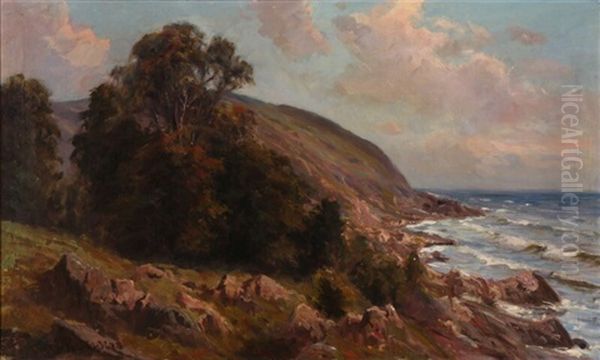 Pink Clouds Over A Rocky Coast Oil Painting by Viggo Christian Frederick Pedersen