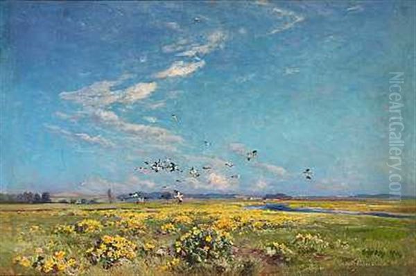 En Flok Viber Over En Eng Med Gule Blomster Oil Painting by Viggo Christian Frederick Pedersen
