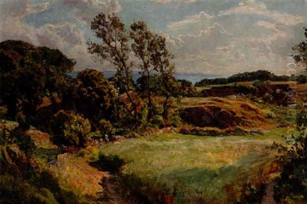 Solbelyskt Skogsglanta, Kullaberg Oil Painting by Viggo Christian Frederick Pedersen