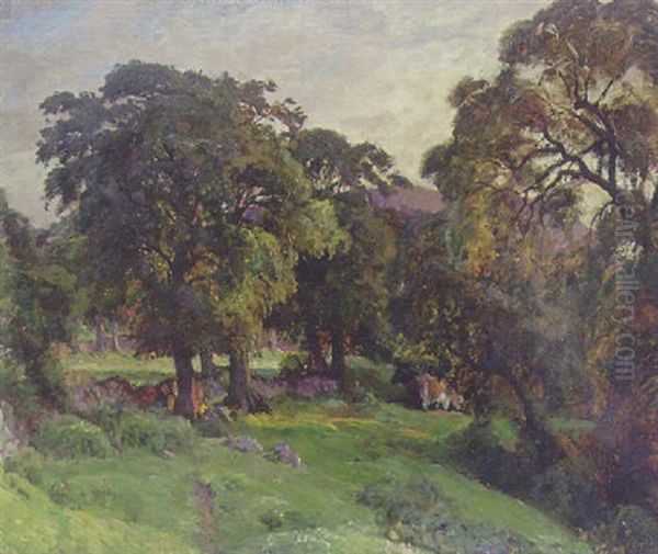 Aftensolen Falder In Mellem Traeerne Oil Painting by Viggo Christian Frederick Pedersen