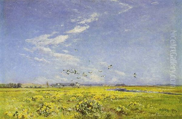 Havfugle Over Gulblomstrende Eng, Antagelig Ved Aamosen Oil Painting by Viggo Christian Frederick Pedersen