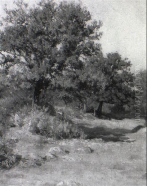 Baume Im Fr_hherbst Oil Painting by Viggo Christian Frederick Pedersen