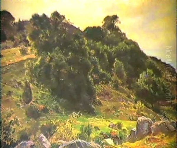 Sommarlandskap Med Buskar- Motiv Fran Kullen Oil Painting by Viggo Christian Frederick Pedersen