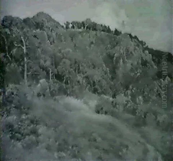 Mod Aften Sent I Host. Sol- Glimt Mellem Morke Skyer.       Kullen Oil Painting by Viggo Christian Frederick Pedersen