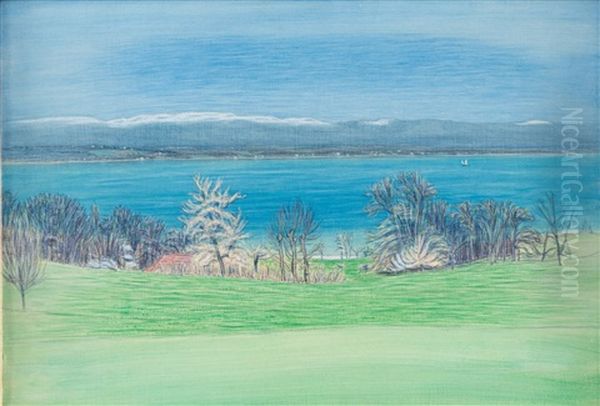 Vue Du Jura Et Du Lac Leman Depuis Cologny Oil Painting by Alexandre Perrier