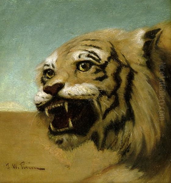 Tiger Vor Sandwuste Oil Painting by John W. Perrin
