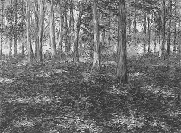 The Forest Carpet Oil Painting by Lilla Calbot Perry