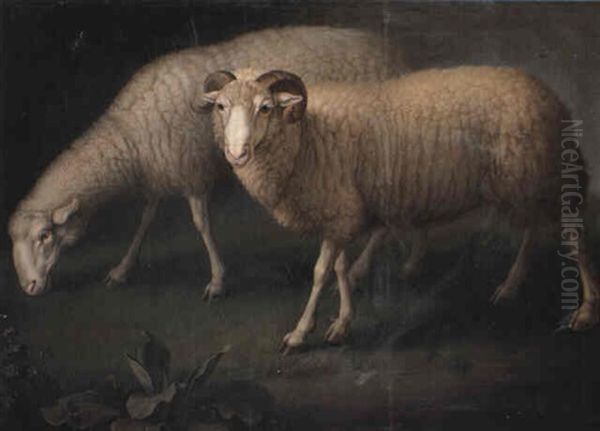 A Ram And Sheep Oil Painting by Wenceslaus (Wenzel) Peter