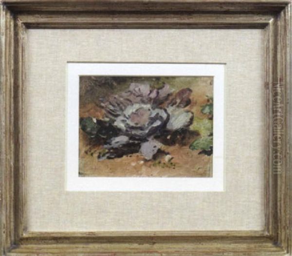 Erbluhter Kohltopf Im Gemusebeet Oil Painting by Anna Peters