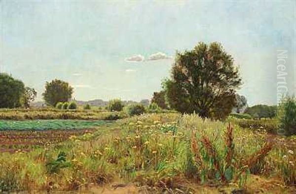 Sommerlandskab Oil Painting by Carl Petersen