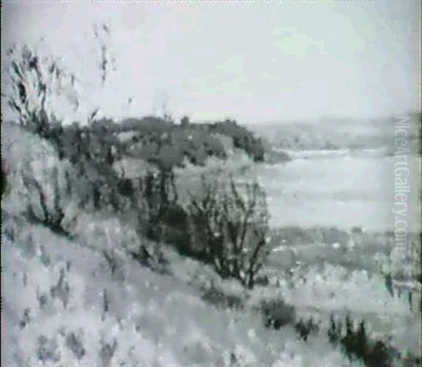 Moorlandschaft Bei Schleswig Oil Painting by Heinrich Petersen