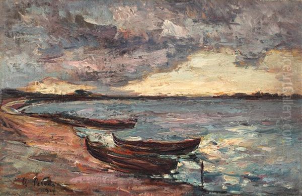 Dunarea Dupa Ploaie Oil Painting by Petrascu Gheorghe