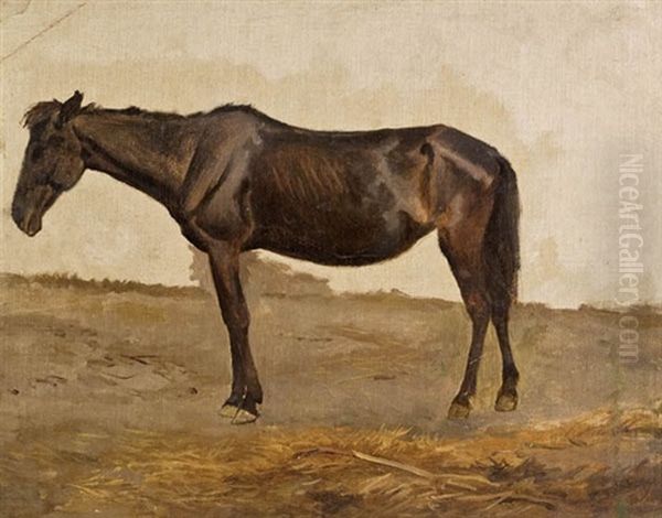 Pferd (study) Oil Painting by August Xaver Karl von Pettenkofen