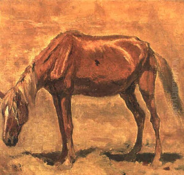 Grasendes Pusztapferd Oil Painting by August Xaver Karl von Pettenkofen