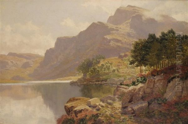 Midday Llyn Cwm Bychan, North Wales Oil Painting by Edwin Pettitt