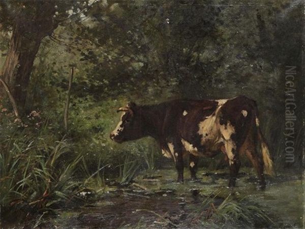 Cow Near The Watering Place In The Forest Oil Painting by Aymar Pezant