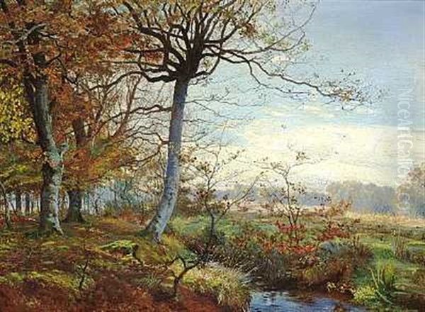 Parti Fra Sorteaen I Mejlgards Skove Oil Painting by Theodor Esbern Philipsen