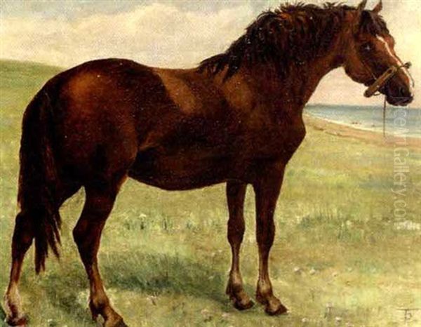 Hest Pa En Strandeng Oil Painting by Theodor Esbern Philipsen