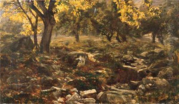 Paesaggio Boschivo Oil Painting by Guido Boggiani