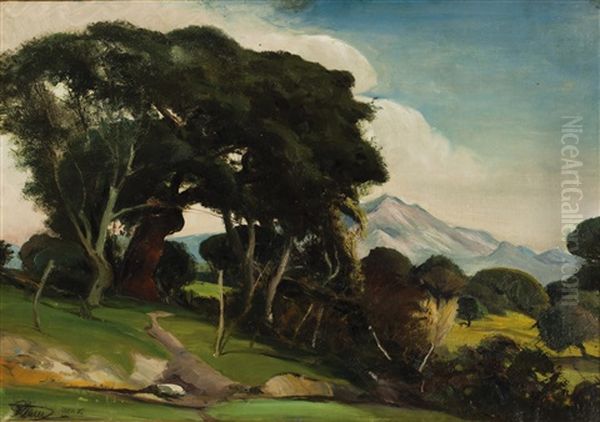 Motiv Aus Korsika Oil Painting by Vladimir Pleiner