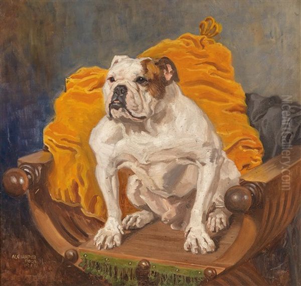 Englische Bulldogge Oil Painting by Alexander Pock