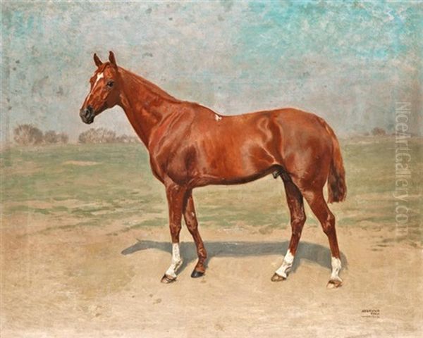 Versenylo Oil Painting by Alexander Pock