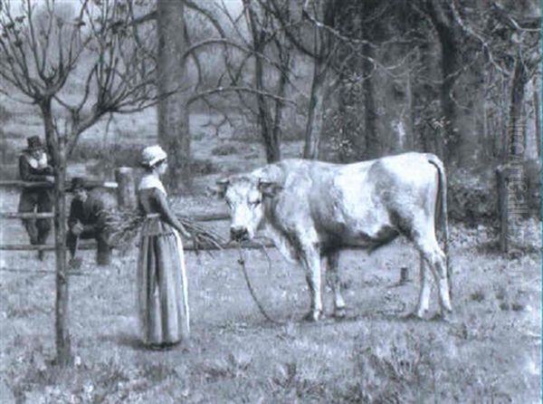 The Tethered Bull Oil Painting by Henry Rankin Poore