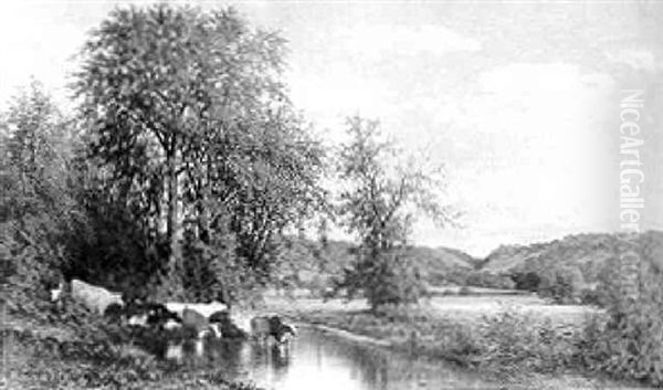 Cowing Wading In A River Oil Painting by John Pope