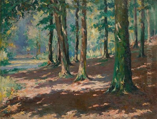 Foret De Soignes A Boitsfort Oil Painting by Jules Postel