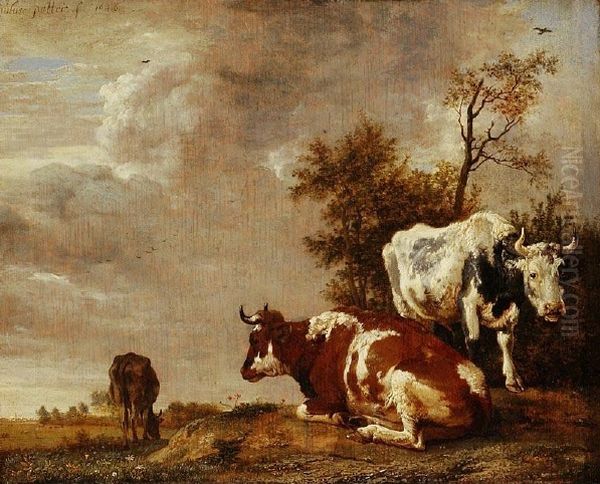 Three Cows In A Pasture Oil Painting by Paulus Potter