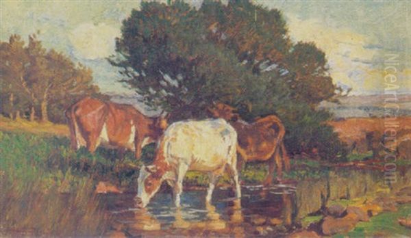 Cattle Drinking Oil Painting by Harold Septimus Power