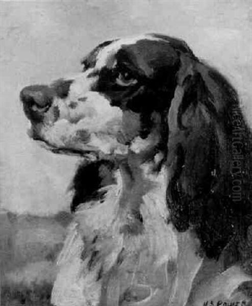 Spaniel Oil Painting by Harold Septimus Power