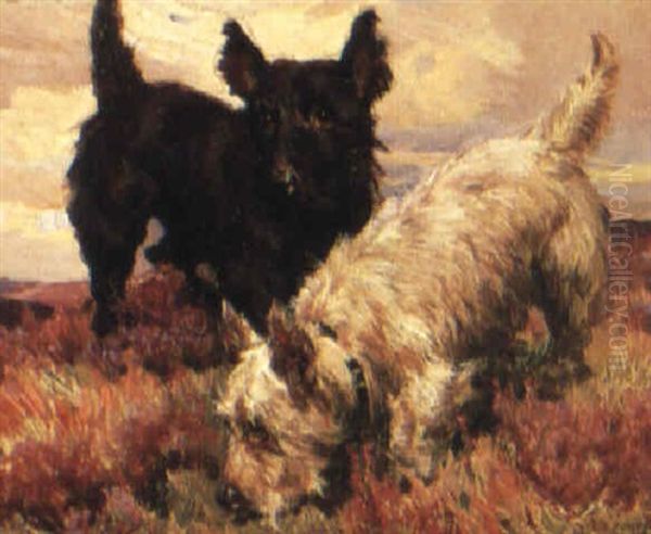 A Pair Of Highland Terries Oil Painting by Harold Septimus Power