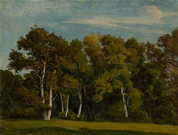 Study From The Park In Weimar Oil Painting by Friedrich, the younger Preller