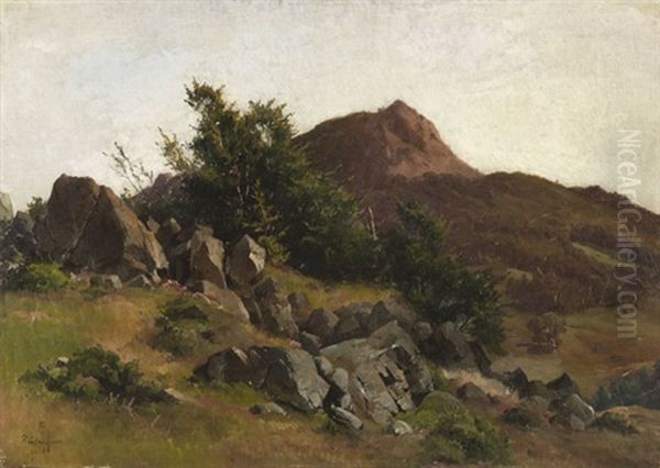 Felsenstudie Bei Kleinsassen In Der Rhon Oil Painting by Friedrich, the younger Preller